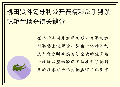 桃田贤斗匈牙利公开赛精彩反手劈杀惊艳全场夺得关键分