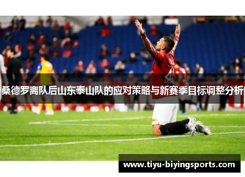 桑德罗离队后山东泰山队的应对策略与新赛季目标调整分析