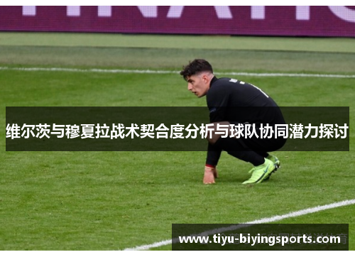 维尔茨与穆夏拉战术契合度分析与球队协同潜力探讨 维尔茨与穆夏拉战术契合度分析与球队协同潜力探讨
