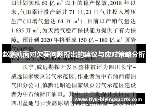 赵鹏就面对欠薪问题提出的建议与应对策略分析 赵鹏就面对欠薪问题提出的建议与应对策略分析