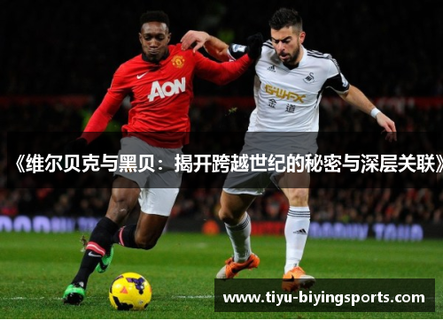 《维尔贝克与黑贝：揭开跨越世纪的秘密与深层关联》