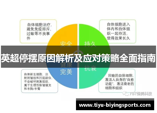 英超停摆原因解析及应对策略全面指南 英超停摆原因解析及应对策略全面指南