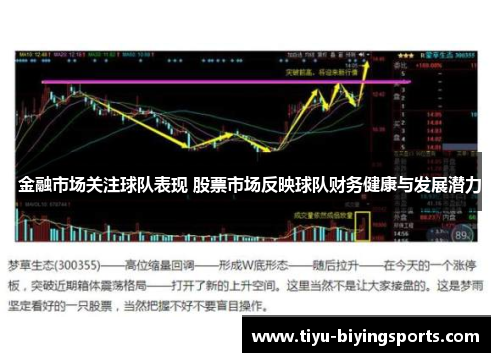 金融市场关注球队表现 股票市场反映球队财务健康与发展潜力 金融市场关注球队表现 股票市场反映球队财务健康与发展潜力